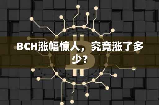 BCH涨幅惊人，究竟涨了多少？