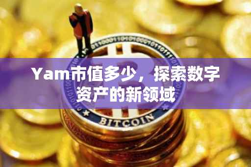 Yam市值多少，探索数字资产的新领域