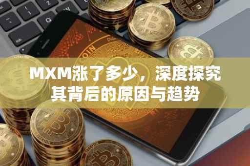MXM涨了多少，深度探究其背后的原因与趋势