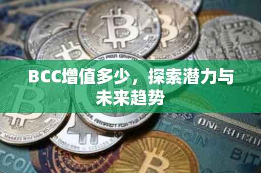 BCC增值多少，探索潜力与未来趋势