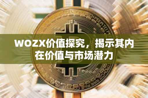 WOZX价值探究，揭示其内在价值与市场潜力