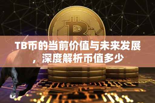 TB币的当前价值与未来发展，深度解析币值多少