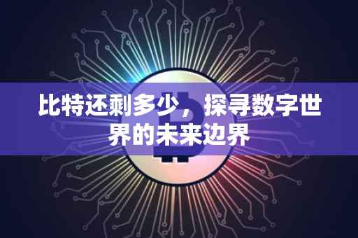 比特还剩多少，探寻数字世界的未来边界