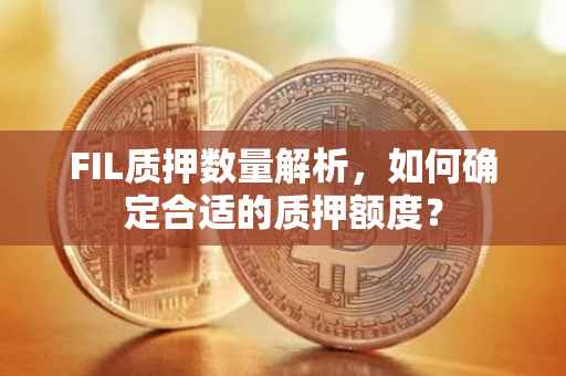 FIL质押数量解析，如何确定合适的质押额度？