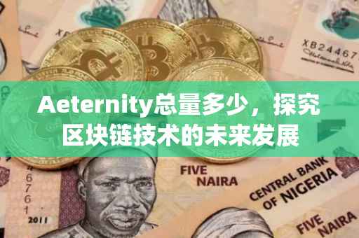 Aeternity总量多少，探究区块链技术的未来发展