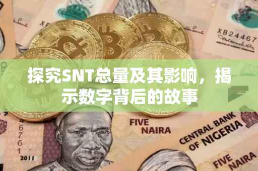 探究SNT总量及其影响，揭示数字背后的故事
