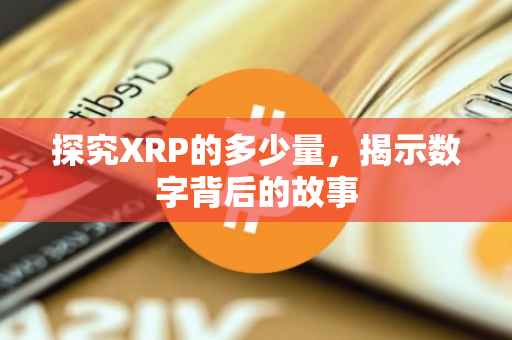 探究XRP的多少量，揭示数字背后的故事