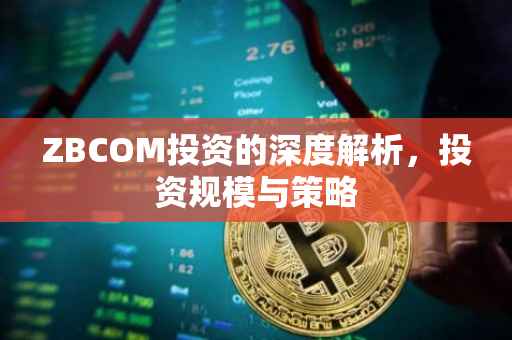 ZBCOM投资的深度解析，投资规模与策略