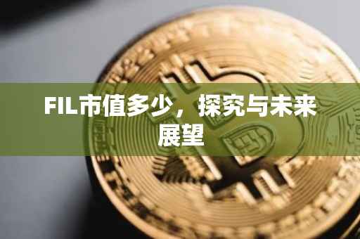 FIL市值多少，探究与未来展望