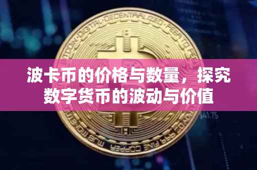 波卡币的价格与数量，探究数字货币的波动与价值