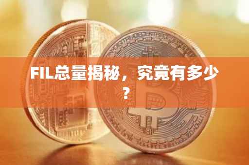 FIL总量揭秘，究竟有多少？