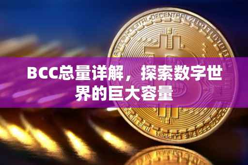 BCC总量详解，探索数字世界的巨大容量