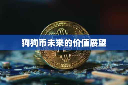 狗狗币未来的价值展望