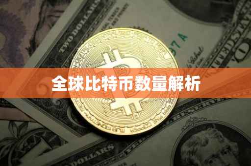 全球比特币数量解析