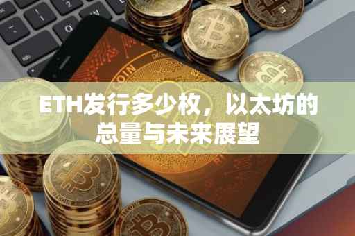 ETH发行多少枚，以太坊的总量与未来展望
