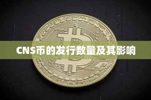 CNS币的发行数量及其影响