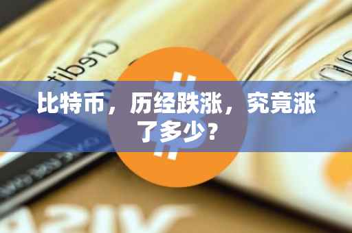 比特币，历经跌涨，究竟涨了多少？