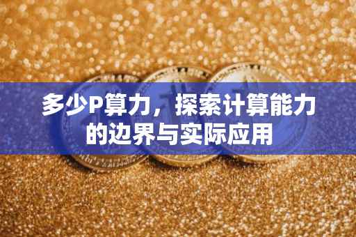 多少P算力，探索计算能力的边界与实际应用