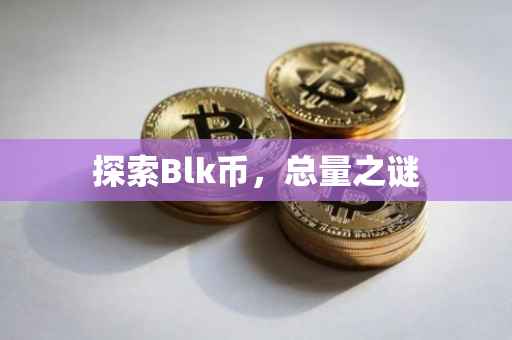 探索Blk币，总量之谜