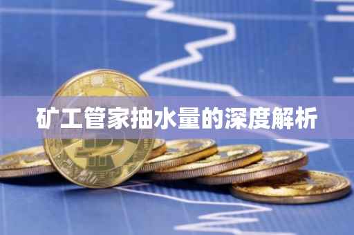 矿工管家抽水量的深度解析
