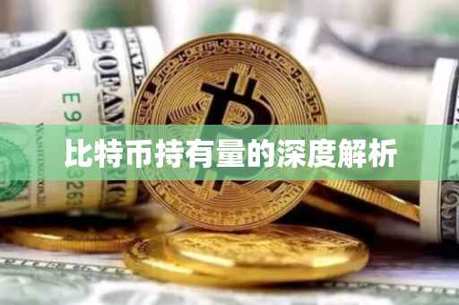 比特币持有量的深度解析