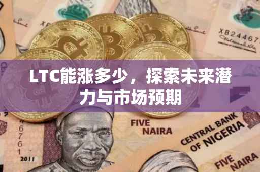 LTC能涨多少，探索未来潜力与市场预期