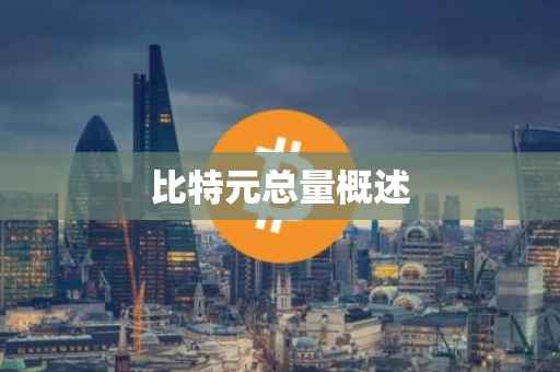 比特元总量概述