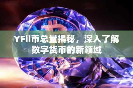 YFii币总量揭秘，深入了解数字货币的新领域