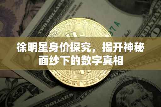 徐明星身价探究，揭开神秘面纱下的数字真相