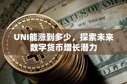 UNI能涨到多少，探索未来数字货币增长潜力