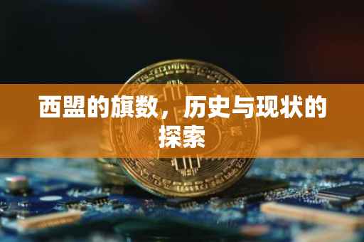 西盟的旗数，历史与现状的探索