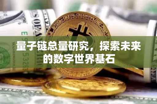 量子链总量研究，探索未来的数字世界基石