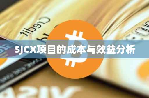 SJCX项目的成本与效益分析