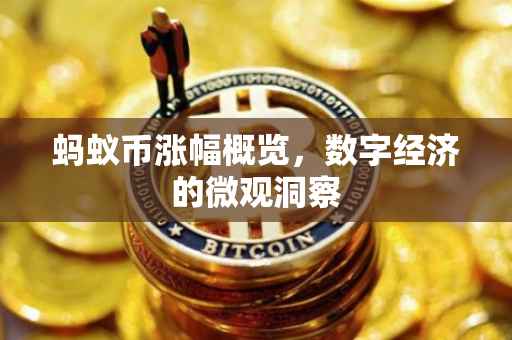 蚂蚁币涨幅概览，数字经济的微观洞察