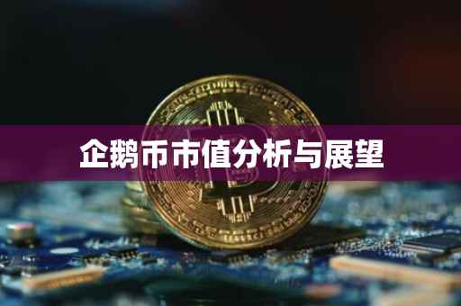企鹅币市值分析与展望