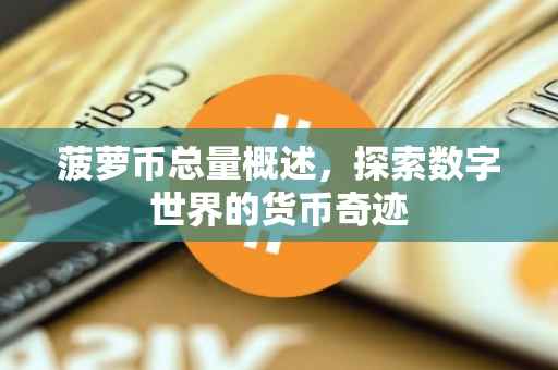 菠萝币总量概述，探索数字世界的货币奇迹