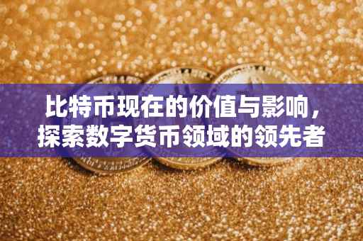 比特币现在的价值与影响，探索数字货币领域的领先者
