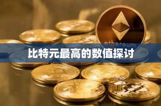 比特元最高的数值探讨