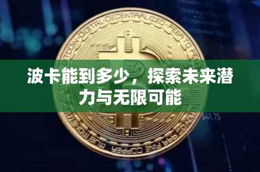 波卡能到多少，探索未来潜力与无限可能