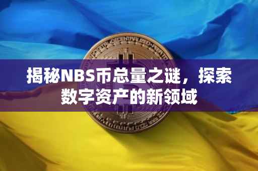 揭秘NBS币总量之谜，探索数字资产的新领域