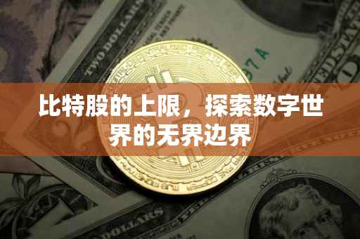 比特股的上限，探索数字世界的无界边界