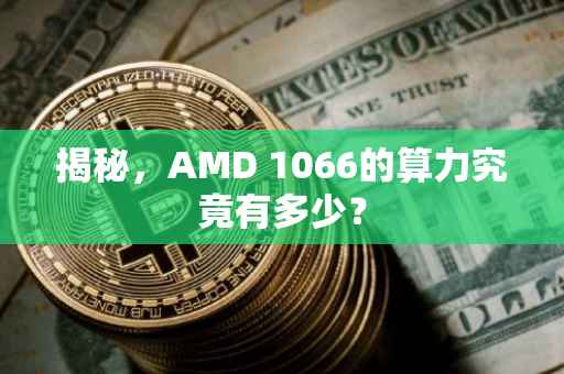 揭秘，AMD 1066的算力究竟有多少？