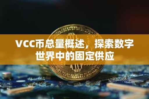 VCC币总量概述，探索数字世界中的固定供应