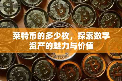 莱特币的多少枚，探索数字资产的魅力与价值