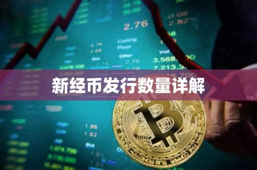 新经币发行数量详解