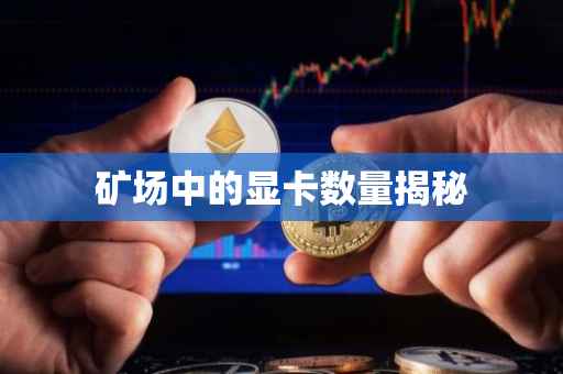 矿场中的显卡数量揭秘
