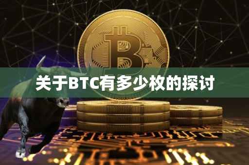 关于BTC有多少枚的探讨