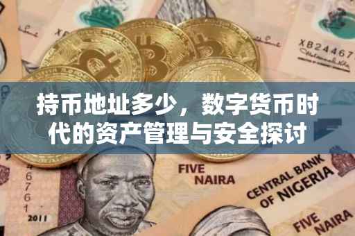 持币地址多少，数字货币时代的资产管理与安全探讨