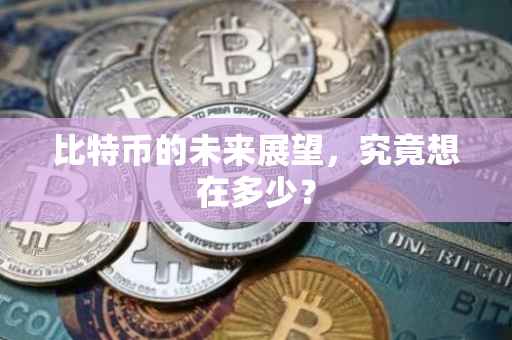 比特币的未来展望，究竟想在多少？