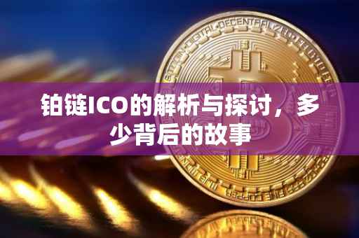 铂链ICO的解析与探讨，多少背后的故事